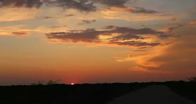 纳米比亚自由行2 | 寻觅动物的埃托沙Safari之旅